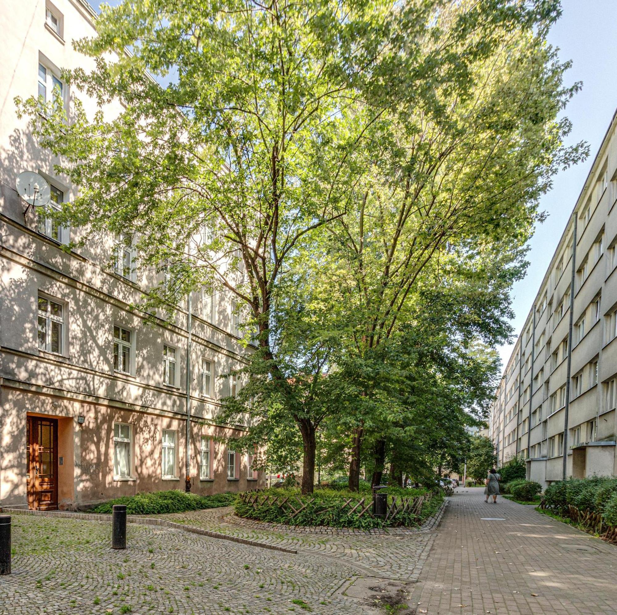 Rentplanet - Studio Nadodrze Βρότσλαβ Εξωτερικό φωτογραφία